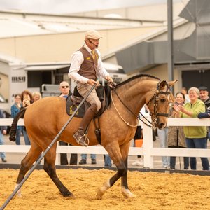 Reitsportmesse 2025