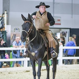 Reitsportmesse Gießen 2022, Messeimpression
